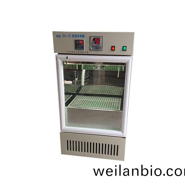 BS-1E振盪培養(yang)箱(xiang)